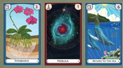 sciencetarot sciencetarot